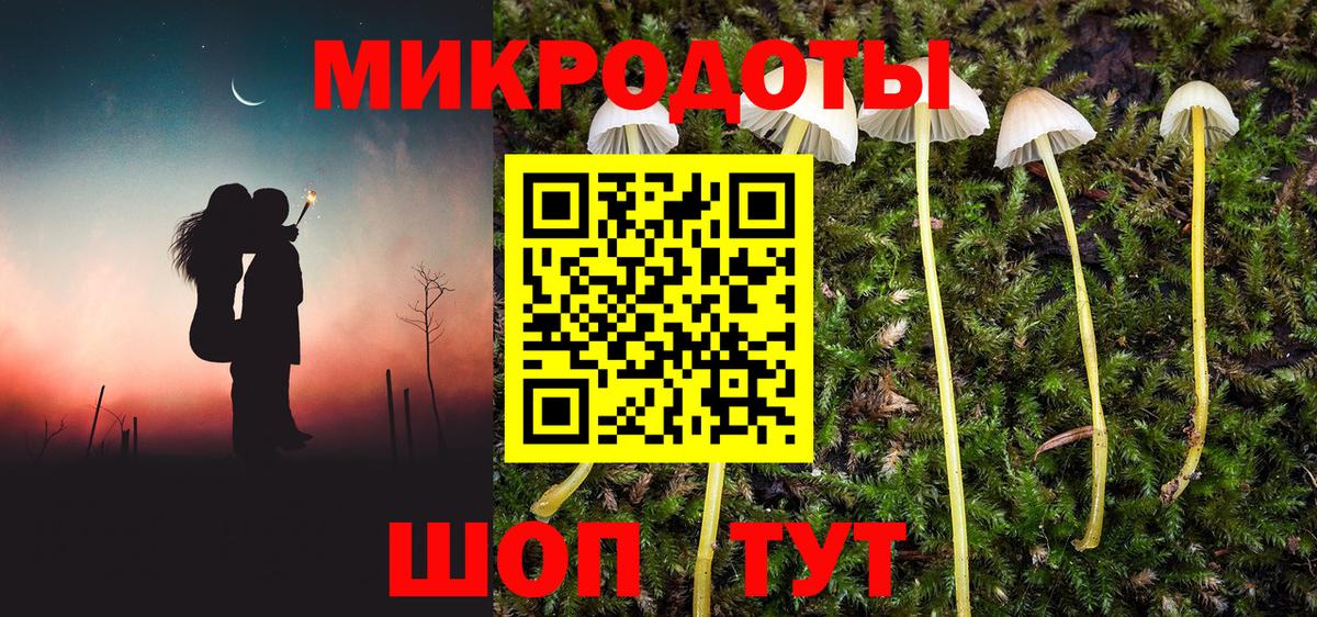 Галлюциногенные грибы мухоморы Калининград