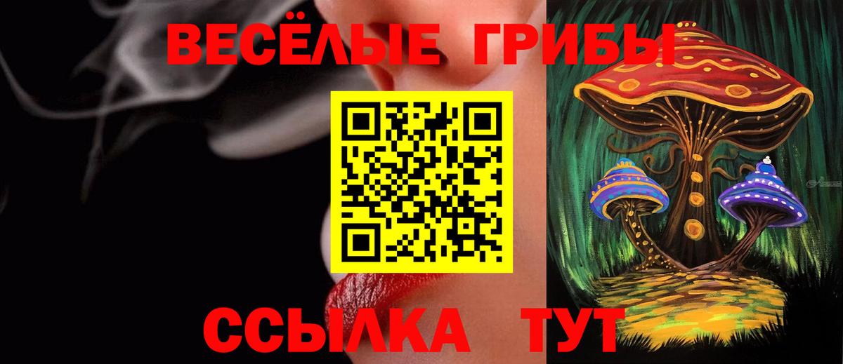 Псилоцибиновые грибы прущие грибы  Вход с VPN  Калининград 